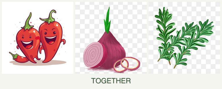 Can you plant peppers, onions and rosemary together?