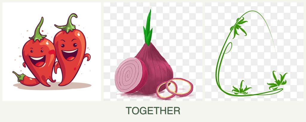 Can you plant peppers, onions and tarragon together?