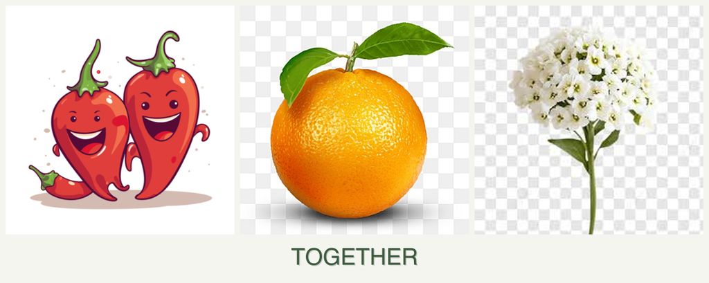 Can you plant peppers, oranges and alyssum together?