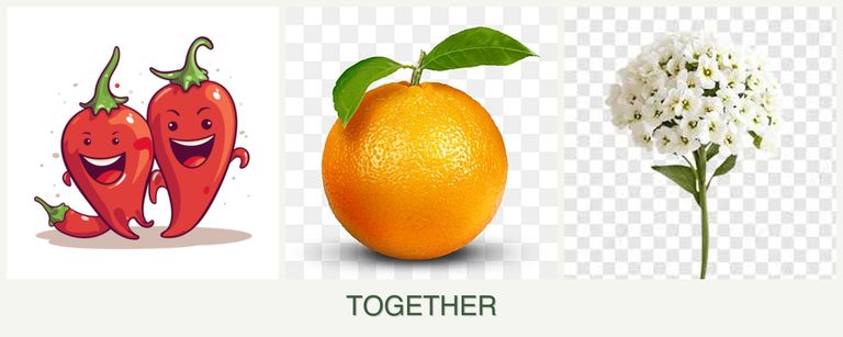 Can you plant peppers, oranges and alyssum together?