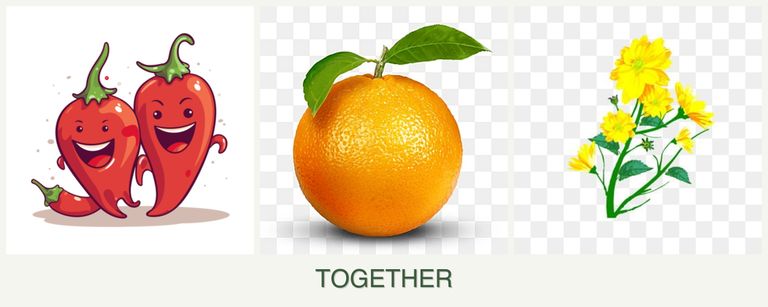 Can you plant peppers, oranges and calendula together?
