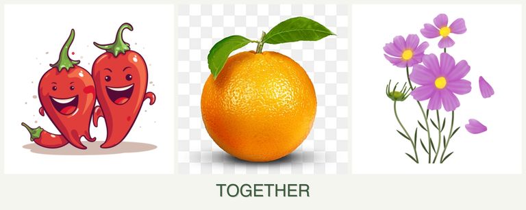 Can you plant peppers, oranges and cosmos together?