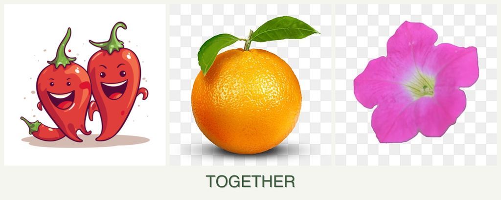 Can you plant peppers, oranges and petunias together?