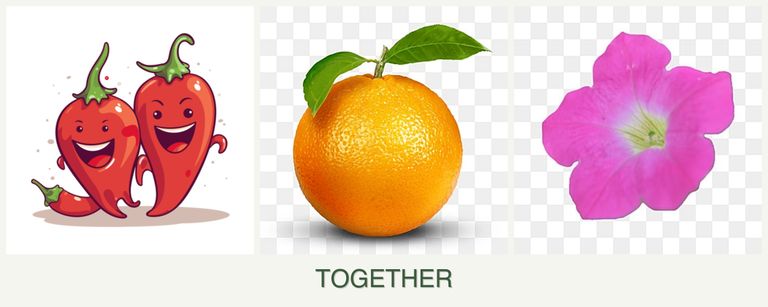 Can you plant peppers, oranges and petunias together?