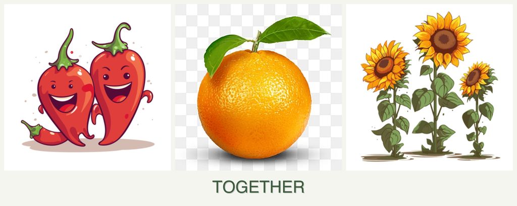 Can you plant peppers, oranges and sunflowers together?