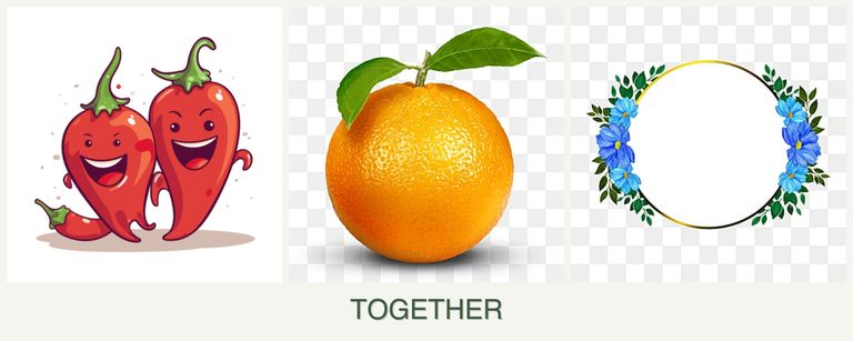 Can you plant peppers, oranges and zinnias together?