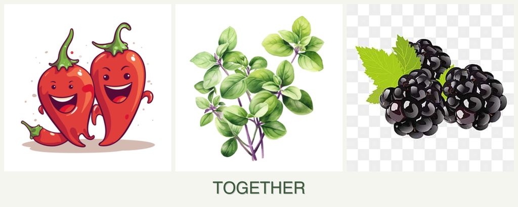 Can you plant peppers, oregano and blackberries together?
