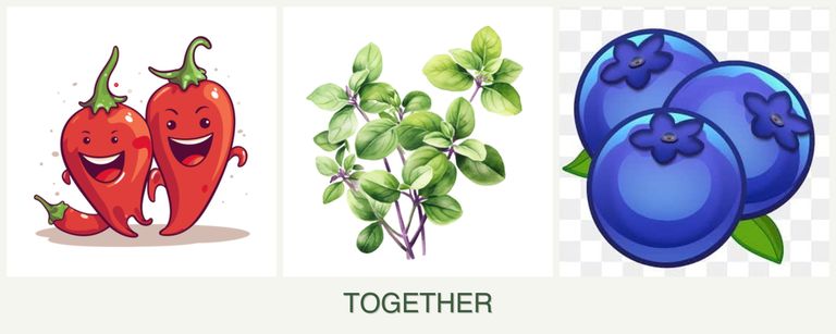 Can you plant peppers, oregano and blueberries together?