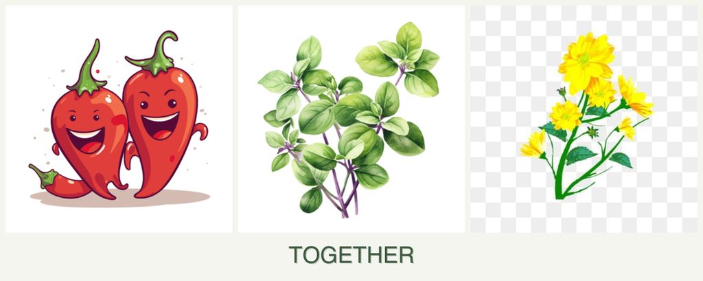 Can you plant peppers, oregano and calendula together?