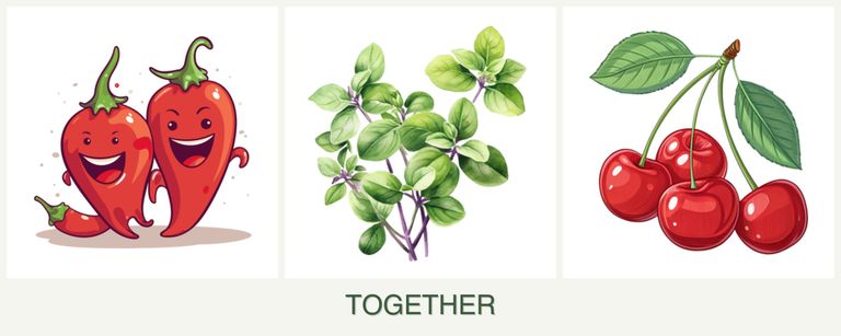 Can you plant peppers, oregano and cherries together?