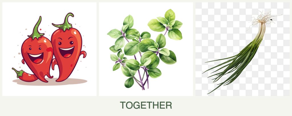 Can you plant peppers, oregano and chives together?