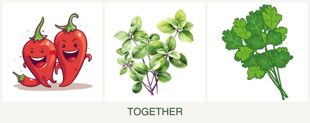 Can you plant peppers, oregano and cilantro together?