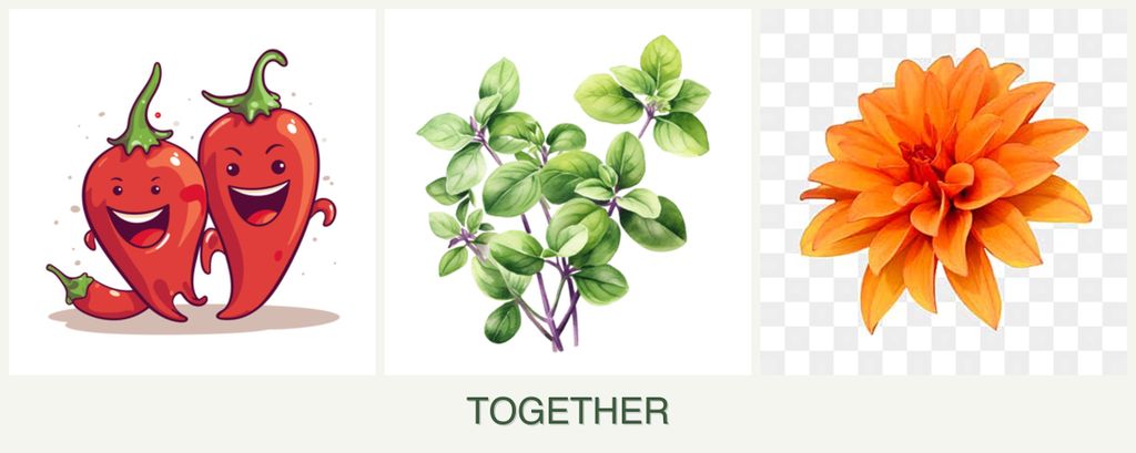 Can you plant peppers, oregano and dahlias together?