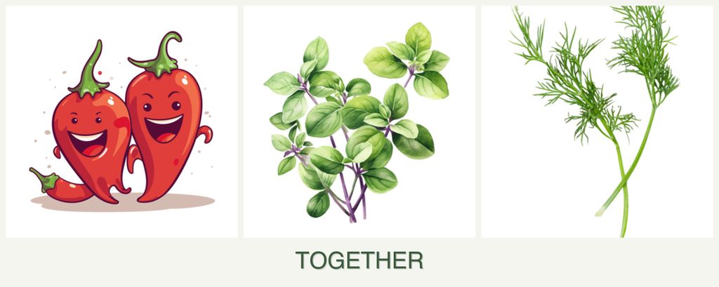 Can you plant peppers, oregano and dill together?