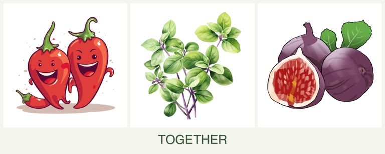 Can you plant peppers, oregano and figs together?