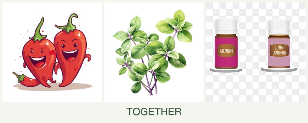 Can you plant peppers, oregano and geraniums together?