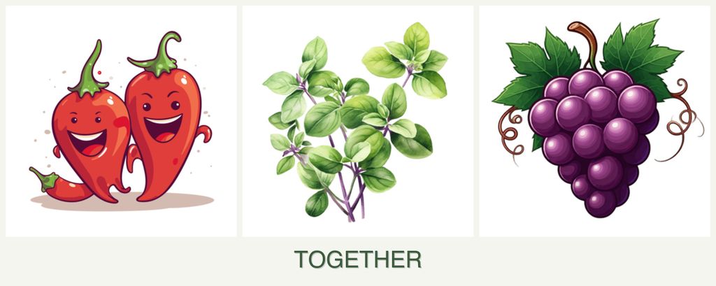 Can you plant peppers, oregano and grapes together?