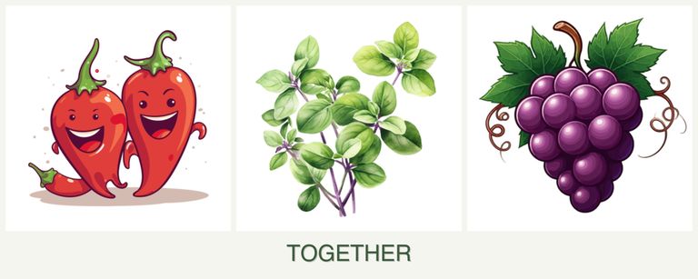 Can you plant peppers, oregano and grapes together?
