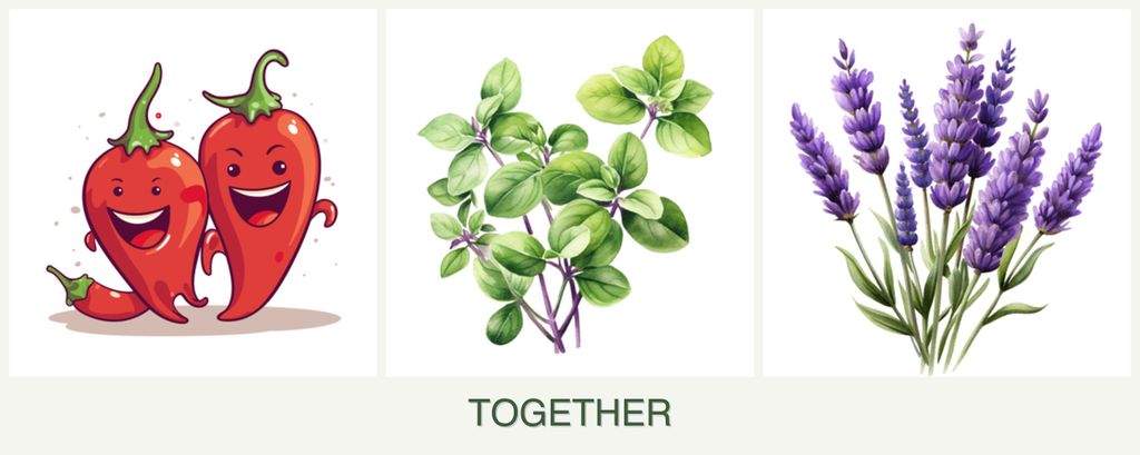 Can you plant peppers, oregano and lavender together?