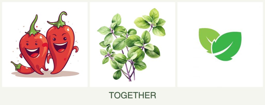 Can you plant peppers, oregano and mint together?