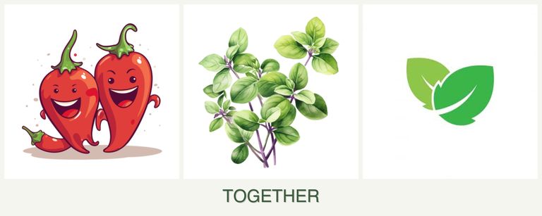 Can you plant peppers, oregano and mint together?