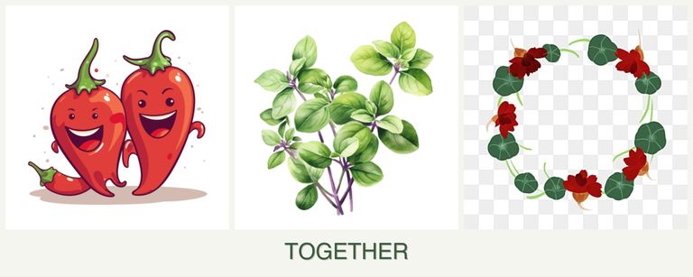 Can you plant peppers, oregano and nasturtiums together?