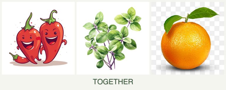 Can you plant peppers, oregano and oranges together?