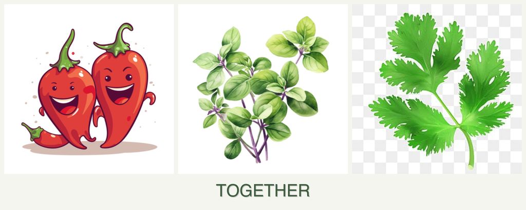 Can you plant peppers, oregano and parsley together?