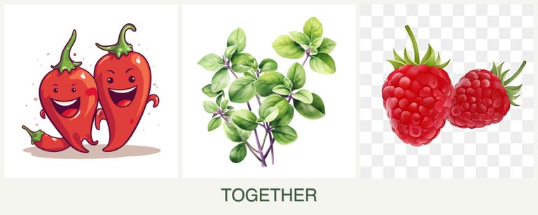 Can you plant peppers, oregano and raspberries together?