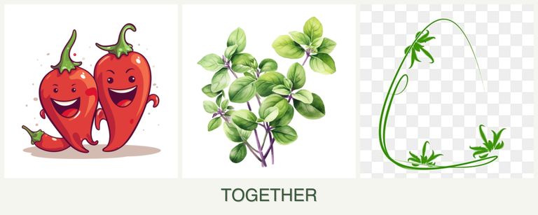 Can you plant peppers, oregano and tarragon together?