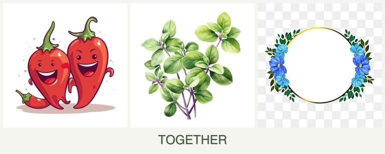 Can you plant peppers, oregano and zinnias together?