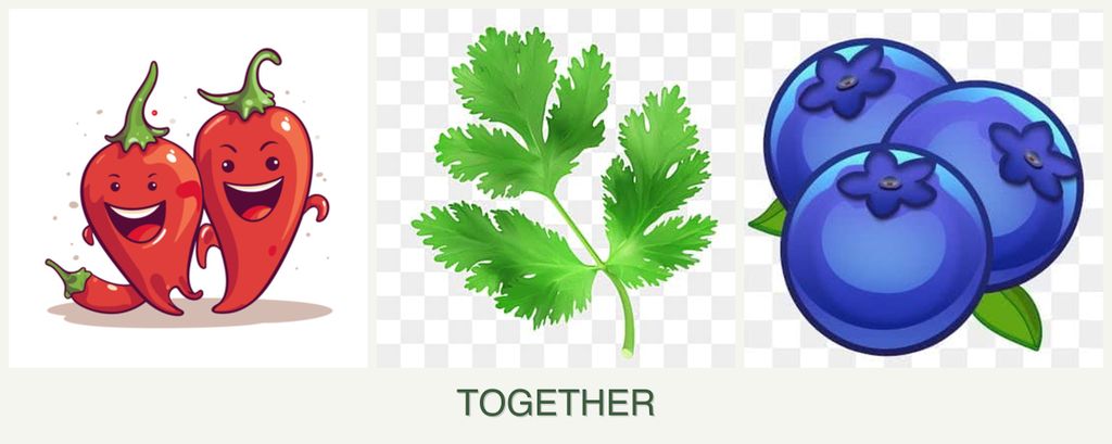 Can you plant peppers, parsley and blueberries together?