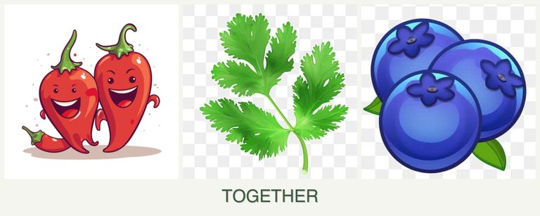 Can you plant peppers, parsley and blueberries together?