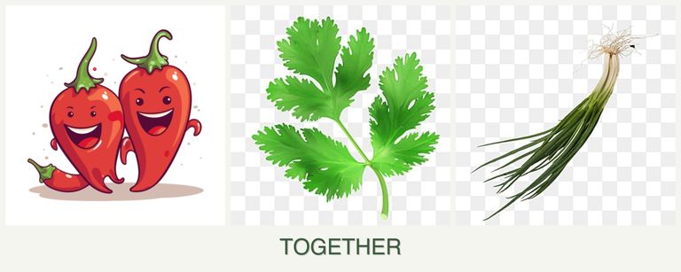 Can you plant peppers, parsley and chives together?
