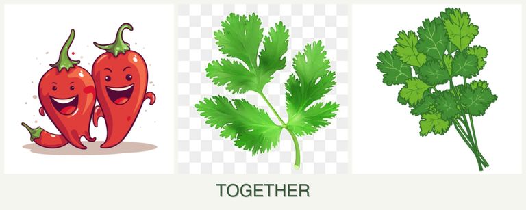 Can you plant peppers, parsley and cilantro together?