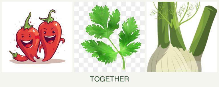 Can you plant peppers, parsley and fennel together?