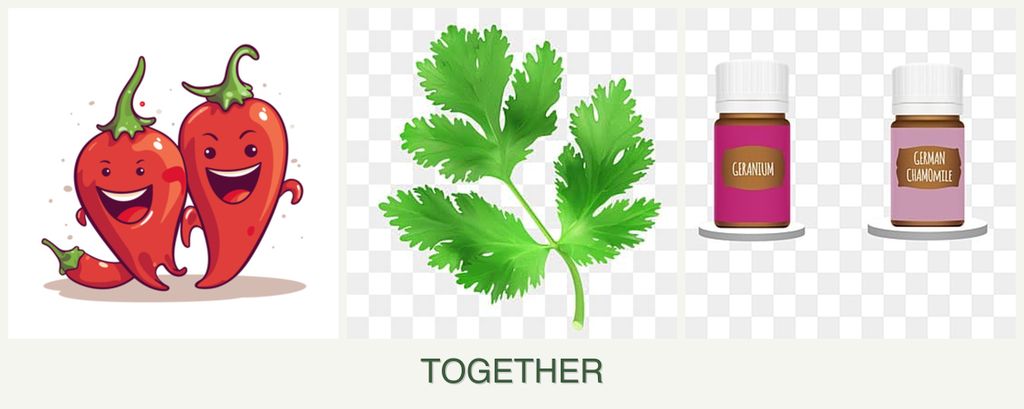 Can you plant peppers, parsley and geraniums together?