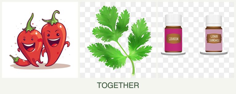 Can you plant peppers, parsley and geraniums together?