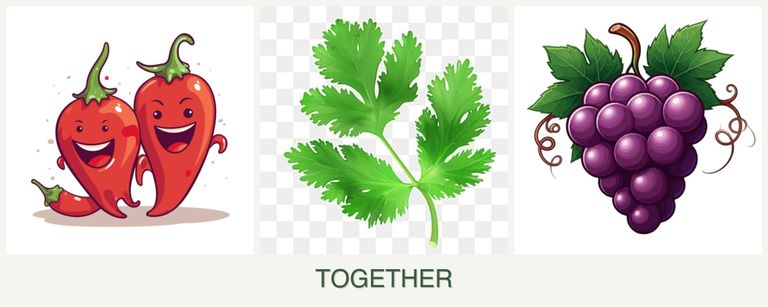 Can you plant peppers, parsley and grapes together?