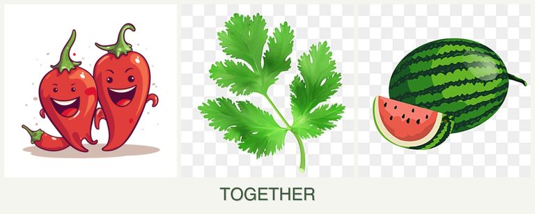 Can you plant peppers, parsley and melons together?
