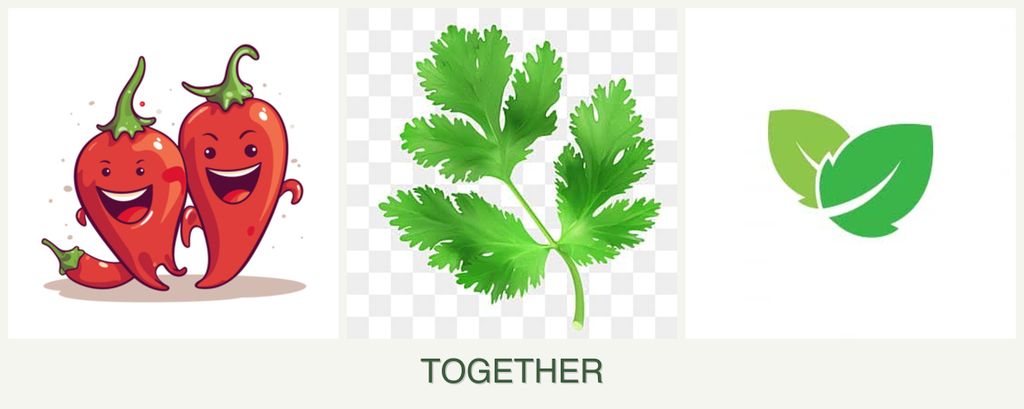 Can you plant peppers, parsley and mint together?