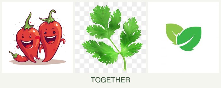 Can you plant peppers, parsley and mint together?