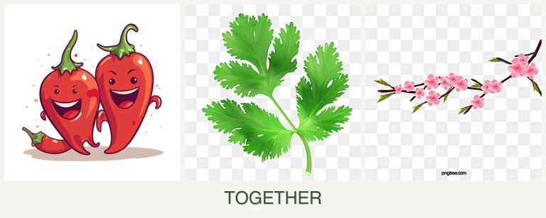 Can you plant peppers, parsley and peaches together?