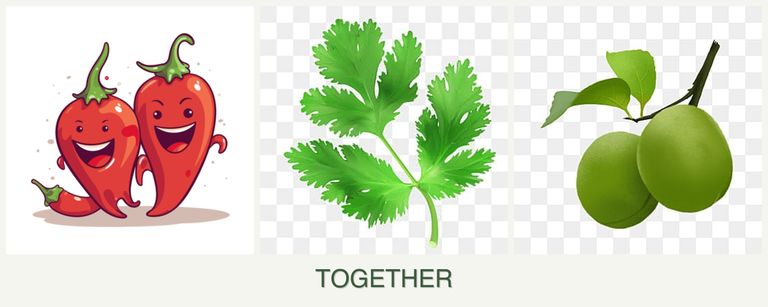 Can you plant peppers, parsley and plums together?
