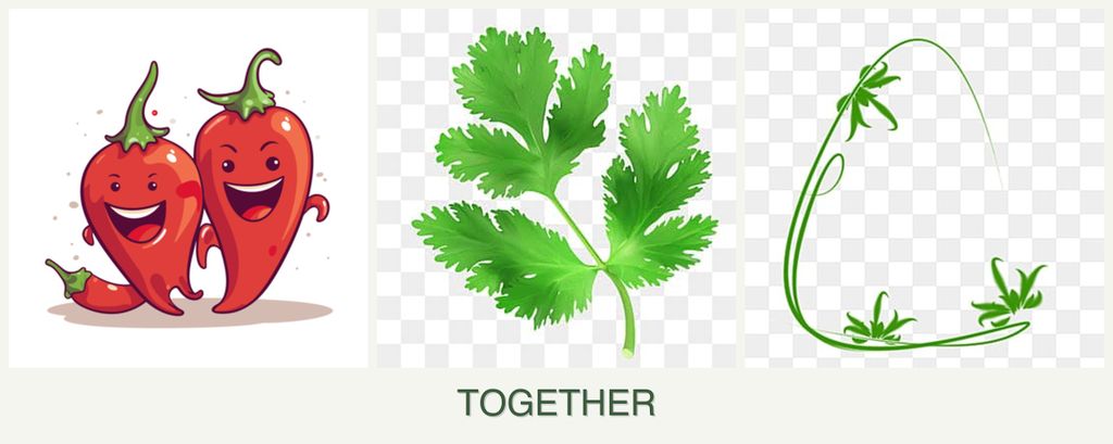 Can you plant peppers, parsley and tarragon together?