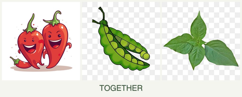 Can you plant peppers, peas and basil together?