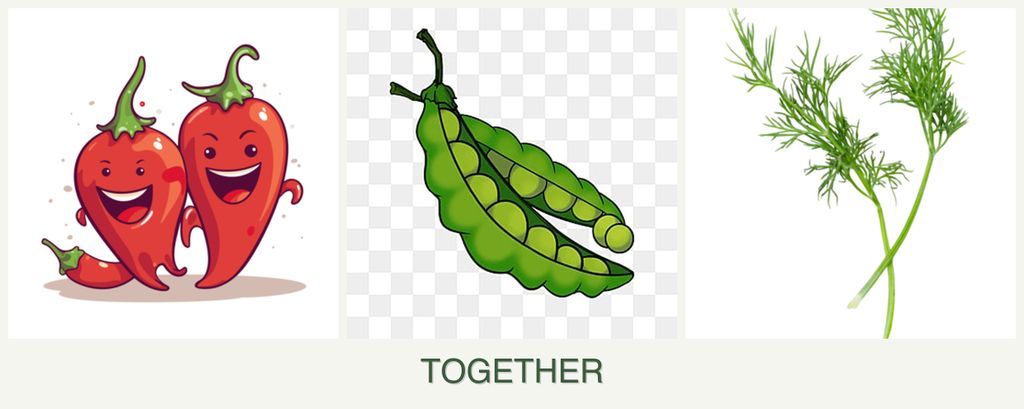 Can you plant peppers, peas and dill together?