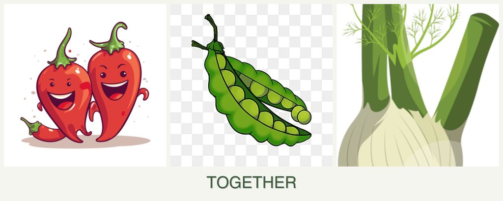 Can you plant peppers, peas and fennel together?