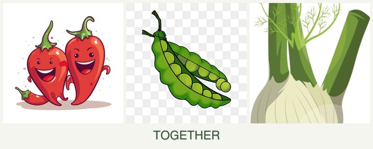 Can you plant peppers, peas and fennel together?