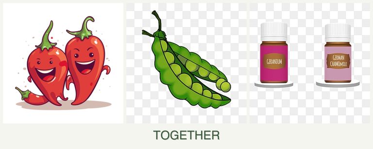 Can you plant peppers, peas and geraniums together?